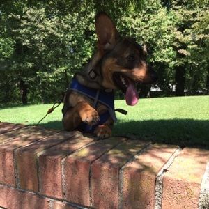 Meet your Posher, Jay